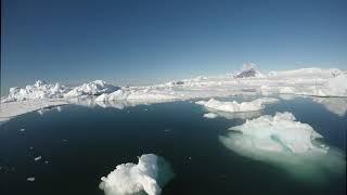 One afternoon in Antarctica