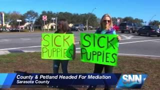 SNN: Judge Ordered Petland Sarasota To Stop Selling Puppies And Kittens