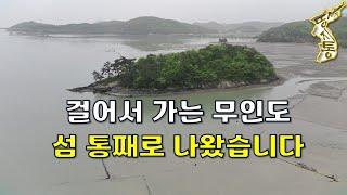 드디어 나왔습니다~걸어서 들어가는 무인도 섬 통째로 싸게 나왔습니다.[땅지통]