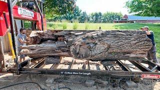 Rick Might Have Brought the Biggest Walnut in Wisconsin for me to Saw