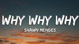 Shawn Mendes - Why Why Why (Lyrics)