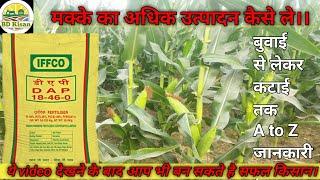 मक्का की खेती कब और कैसे करे।। When and how to cultivate maize। #maizecultivation