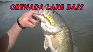 Bass in Grenada Lake Mississippi!