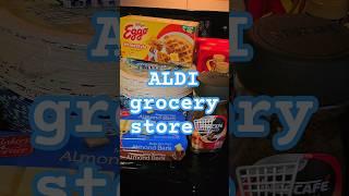 Grocery Shopping Aldi #shorts #viralshorts #groceryshopping #aldi