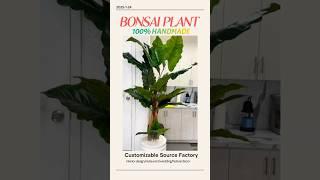 🪴Create Your Oasis: Stunning Artificial Bonsai Tree from Various Plants!丨Interior Design Home Decor