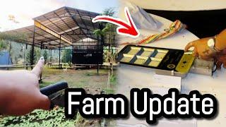 Farm update : Solar lights installation.