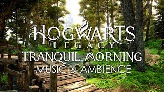 Hogwarts Legacy - Tranquil Morning in Hogwarts Forest - Calming Harry Potter Music & Cozy Ambience