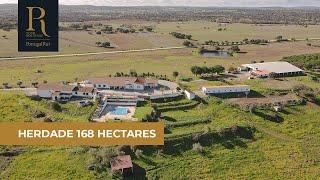 Herdade de 168 hectares para venda no Alentejo | Ref. 29