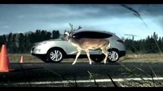 Реклама-пародия на Top Gear от HYUNDAI. The Stag.mp4