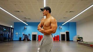 Upgrade Day 1/30 - Best Chest, Shoulder and Triceps workout in 2024 [Hindi]