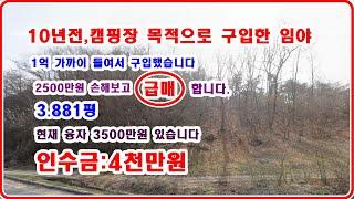 10년전 캠핑장 및 야영장 목적으로 구입한 임야 3881평 1억주고 산임야 융자 3500만 안고 인수 4천만원 ----빠른매매 예상---