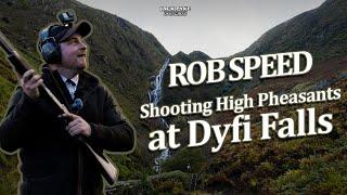 High Pheasant and Partridge Shooting at Dyfi Falls, Wales with @fieldsportswithspeed | Fieldsports