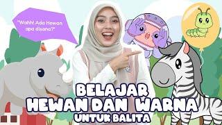 Belajar Bermain Untuk Bayi Dan Balita - Mengenal Kata, Warna, Mengenal Gerakan dan Nursery Rhymes