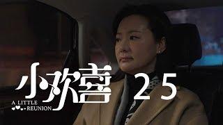 小歡喜 25 | A Little Reunion 25（黃磊、海清、陶虹等主演）