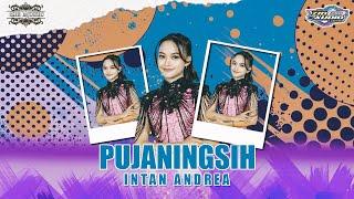 PUJANINGSIH - INTAN ANDREA ft ZIO MUSIC