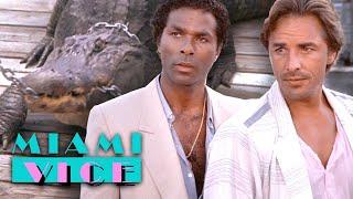 Chain The Alligator Down | Miami Vice