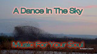 A Dance in the Sky - Starling Murmuration - Awesome Wildlife Spectacle - Music for Relaxation