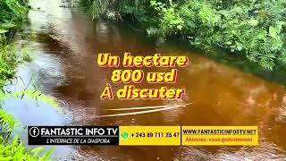 Une concession prêt d’une rivière, forêt ( Kongo central, Mbanza nsilulu) à 800 usd  par hectare