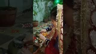 Tulsi Vivah poojan #tulsi #preetistalk #4k #shorts