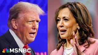 'Just plain weird': Harris allies shifting tone on Trump campaign attacks