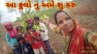 આ ફુલો નુ અમે શુ કરુ ll Vallege life vlog ll