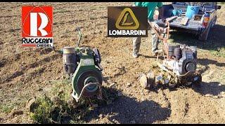 Ruggerini RD v Lombardini motozappa rotovators #lombardini #ruggerini