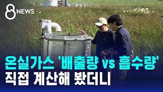 온실가스 '배출량 vs 흡수량'…계산해 보니 / SBS 8뉴스