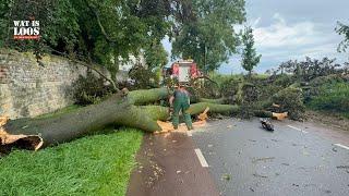 CODE GEEL:BOOM WAAIT OM EN STRATEN BLANK