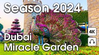 Dubai  Amazing Miracle Garden, New Season 2024 [ 4K ] Walking Tour