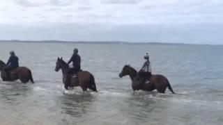 Matt Laurie Racing - Balnarring Beach 30 OCT 14