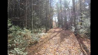 Michigan Realtree Hunting Property For Sale Private Lake 760-Acres South Branch, MI