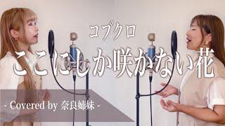 【女性がハモって歌う】ここにしか咲かない花 / コブクロ Covered by 奈良姉妹