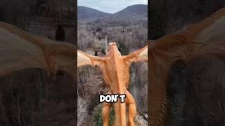 Top 4 Animals that don't care who you are! #animals #facts #youtubeshorts #cute #shorts