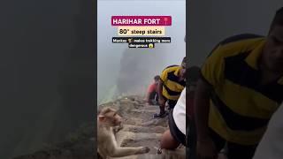 HARIHAR FORT || monkey attack on 80° endline steep stairs || #hariharforttrek #maharashtraforts