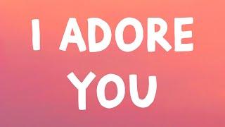 HUGEL x Topic x Arash - I Adore You (Lyrics) Feat. Daecolm