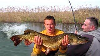 Jezero Joca - Pecanje štuke | Varaličarenje | Fishing big pike |