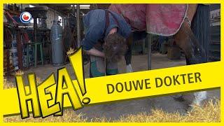 Douwe Dokter (Hoefsmid) | HEA!