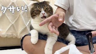 A cat sniffs an old man's finger right after he cuts his nails lol