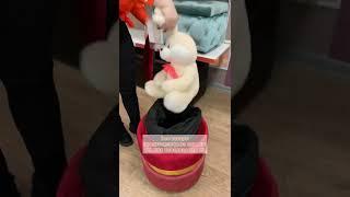 Приключение зайки по Мебельной салону «АЛЕСЯ» ️