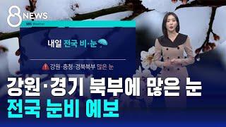 [날씨] 강원·경기 북부에 많은 눈…전국 눈비 예보 / SBS 8뉴스