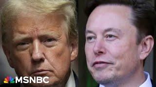 Trump and Musk ‘bound for collision course’ after losing power struggle over spending bill