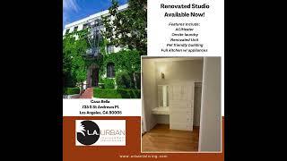 Spacious Renovated Studio – Modern Upgrades & Prime Location!