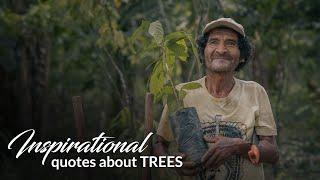 Inspirational Tree Quotes | One Tree Planted