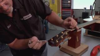 Taylor Guitars Cleaning and Maintenance Techniques: Part 2 | ELIXIR Strings
