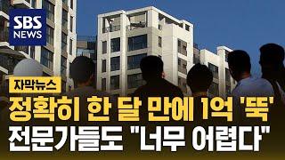 서울 아파트 한 달 만에 1억 '뚝'…전문가들도 "너무 어렵다" (자막뉴스) / SBS