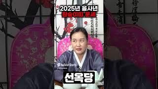'원숭이띠에겐 비밀이 있습니다' 미리보는 2025년 을사년 원숭이띠운세!