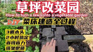 草坪改菜床】Turn a lawn into a vegetable garden /3天开垦2个新菜园！DIY全过程｜看我如何把草坪改菜園#做菜床