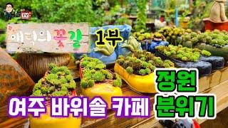 여주 금사면 바위솔카페 분위기 정원 항아리 와 바위솔 이 아름다운 애덕의꽃길 정원인테리어 가 독창적인 집을 소개합니다