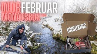 Unboxing der Wild Devil Baits Raubfisch Box Februar 2025 - Alles drin für unter 30€!