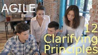 Agile - The 12 Clarifying Principles | Agile Practice Guide